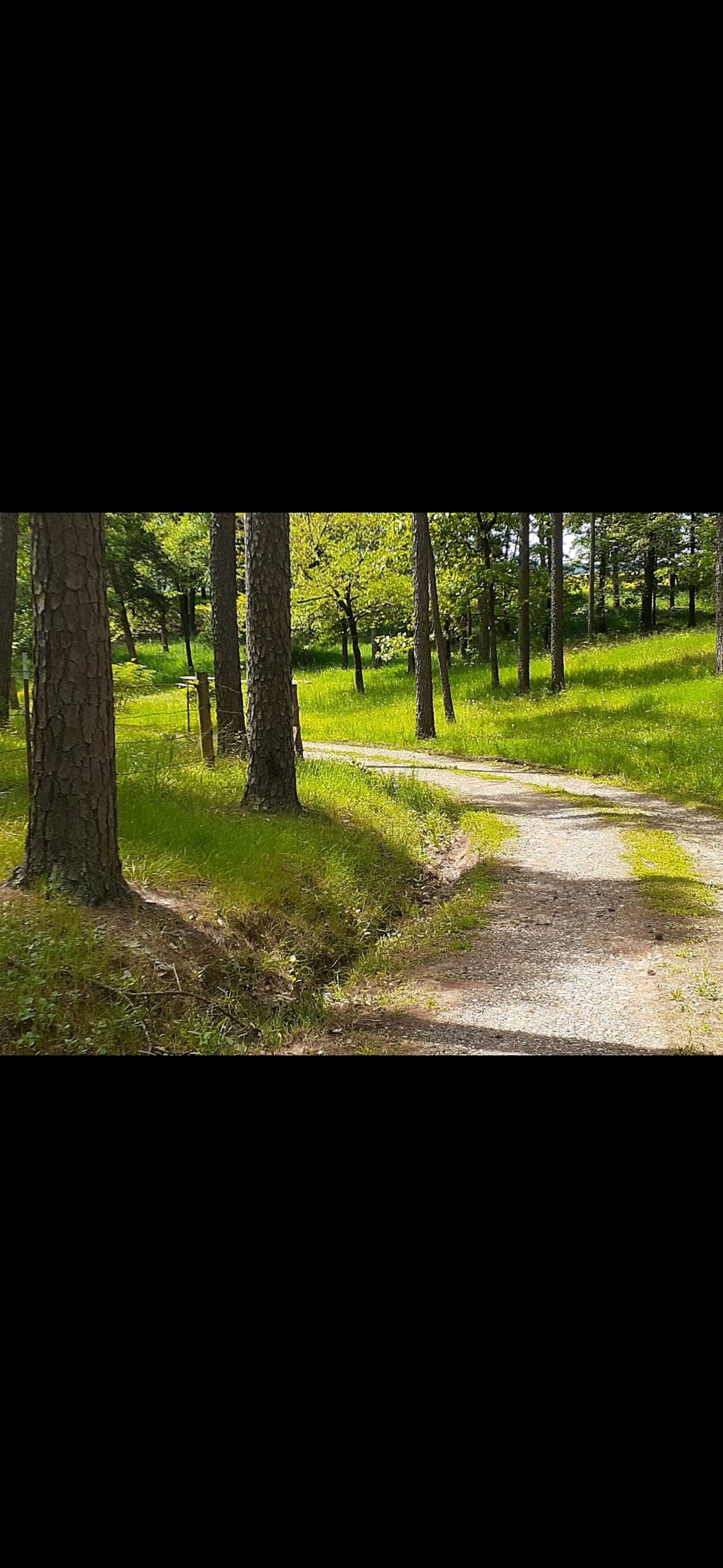Hideaway Acres - glamping.directory