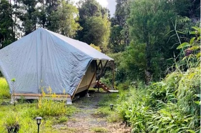 Luxurious Tent for a Romantic Getaway in Mountain View Village, Hawaii - glamping.directory