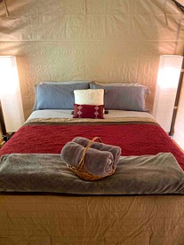 Luxurious Tent for a Romantic Getaway in Mountain View Village, Hawaii - Volcano, Hawaii - glamping.directory