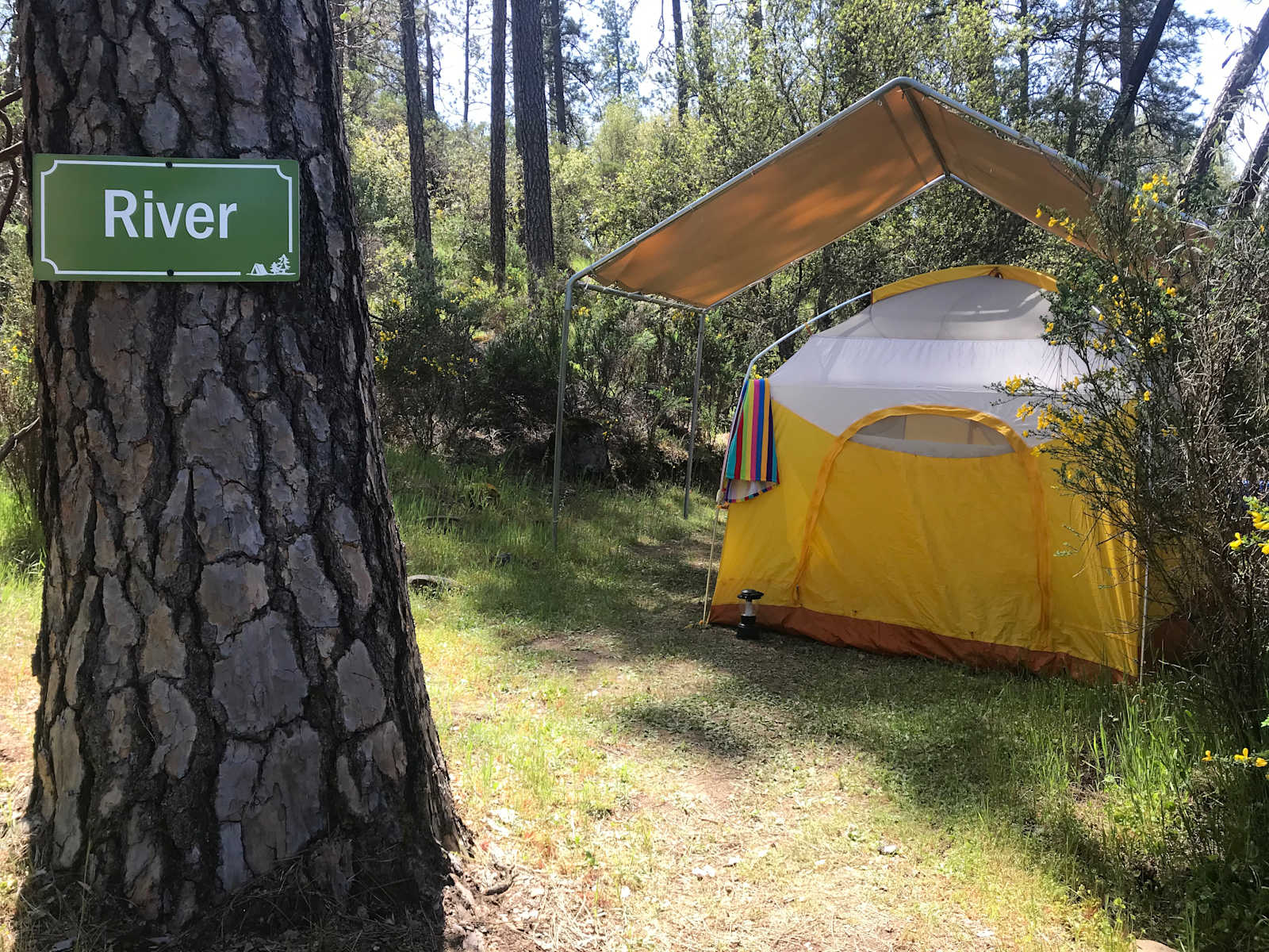RockNWater Cove Camping - Lotus, California - glamping.directory