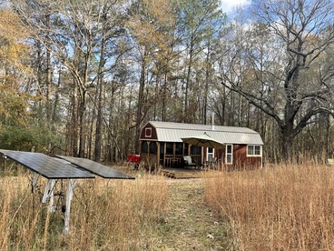 Serene Forest Cabin with Hammock, Loft & Reading Nook in La Grange, Georgia - LaGrange, Georgia - glamping.directory