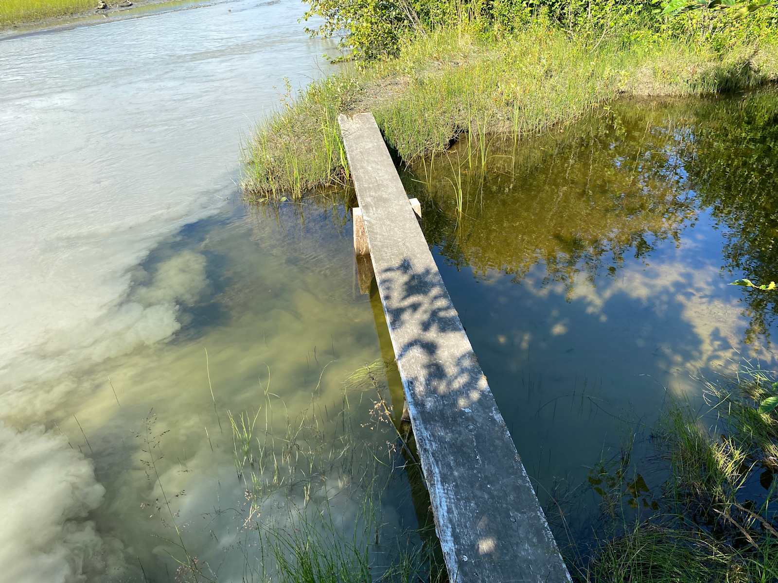 Haines River Camp - Haines, Alaska - glamping.directory