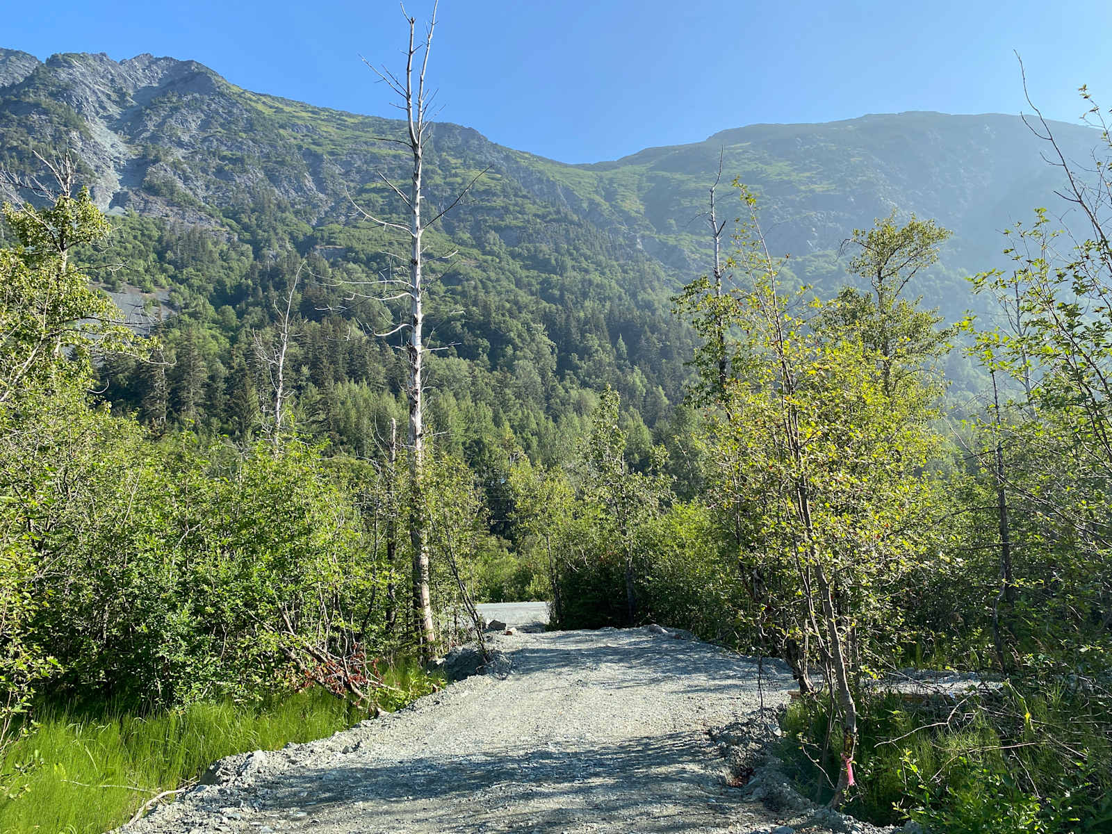 Haines River Camp - Haines, Alaska - glamping.directory