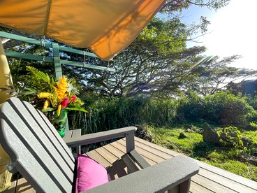 Gorgeous Safari Tent Nestled Between Bamboo Groves and Monkeypod Trees for a Glamping Getaway in Kealakekua, Hawaii - Kealakekua, Hawaii - glamping.directory