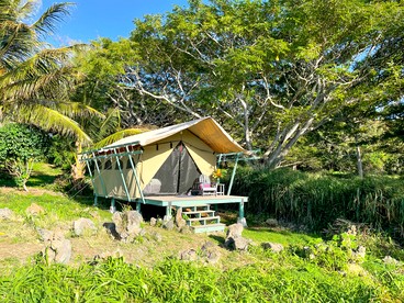 Gorgeous Safari Tent Nestled Between Bamboo Groves and Monkeypod Trees for a Glamping Getaway in Kealakekua, Hawaii - Kealakekua, Hawaii - glamping.directory