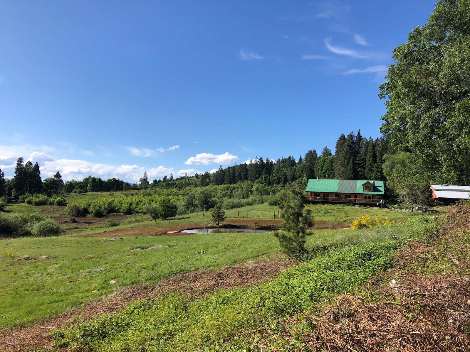 Cascade Arc Camping - Montgomery Creek, California - glamping.directory