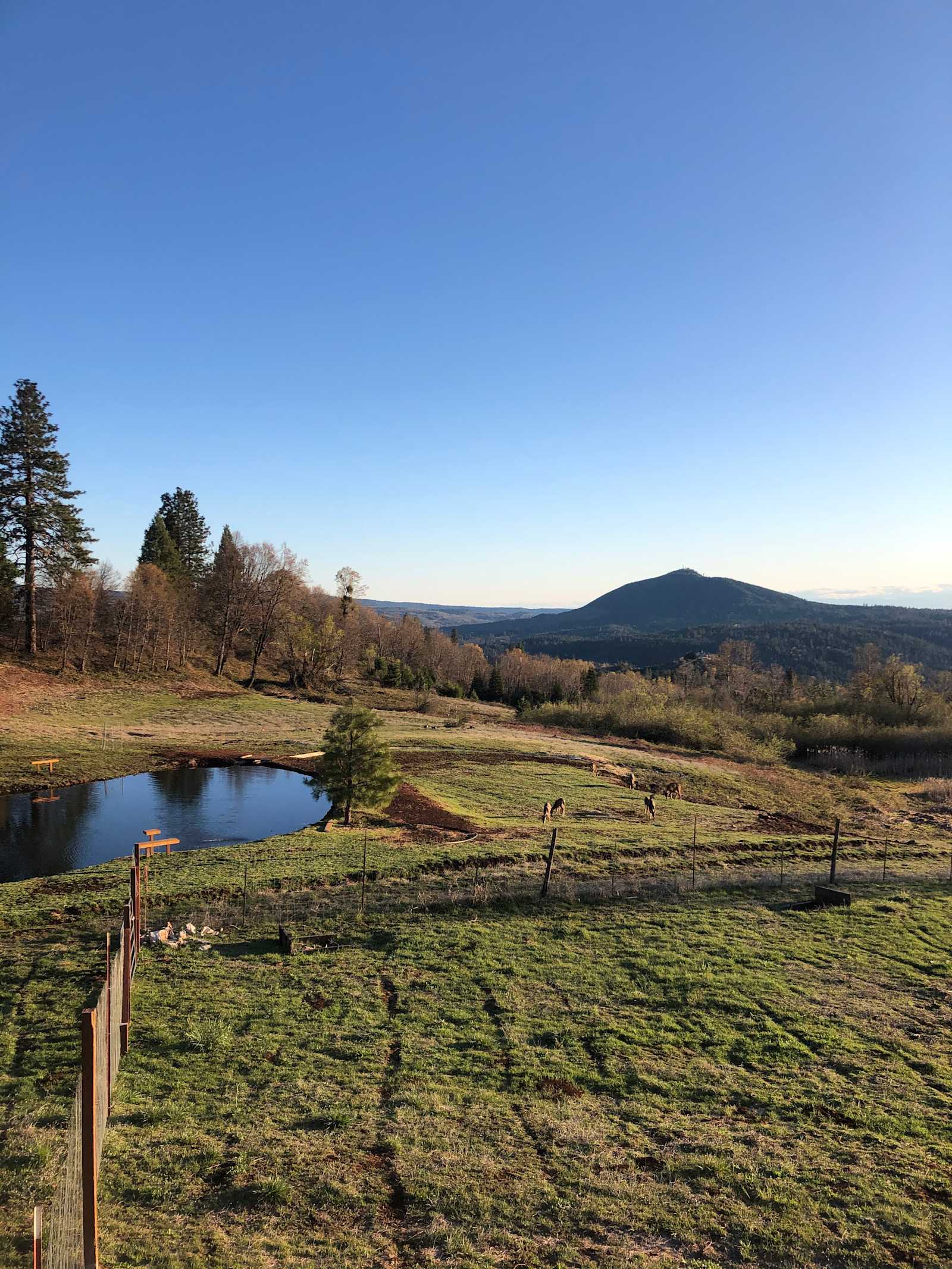 Cascade Arc Camping - glamping.directory
