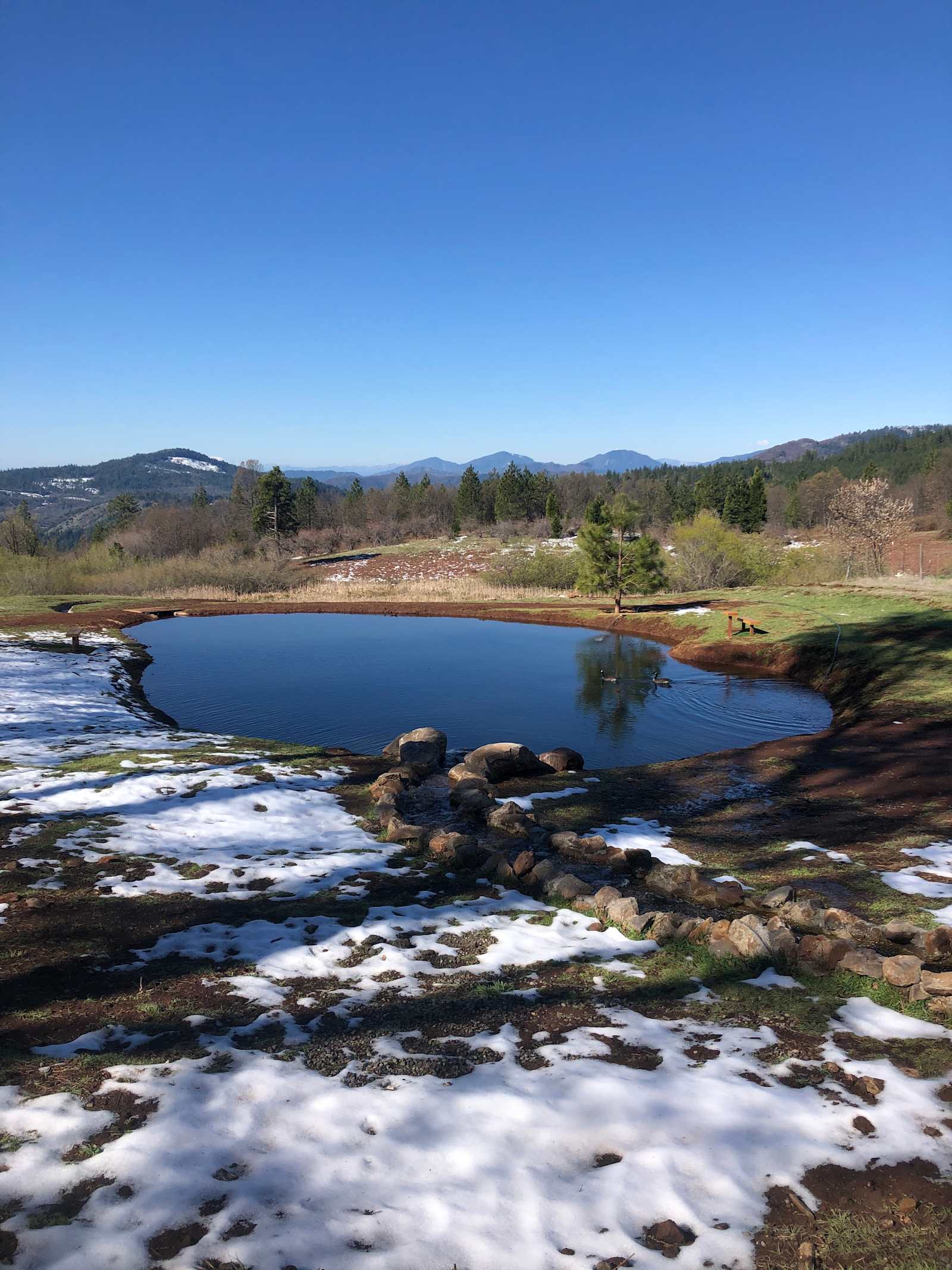 Cascade Arc Camping - Montgomery Creek, California - glamping.directory