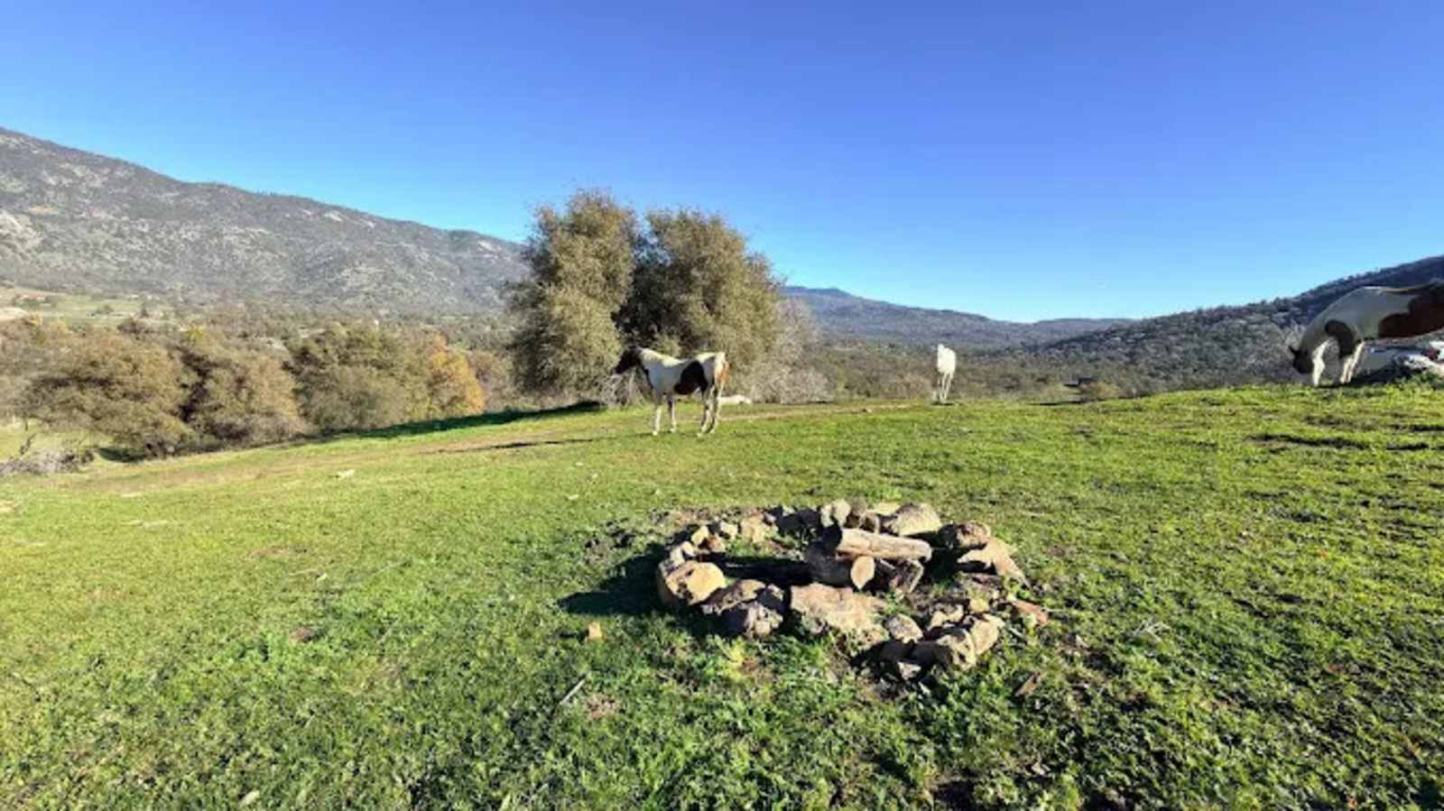 Camp ikigai Animal Sanctuary 501c3 - Squaw Valley, California - glamping.directory