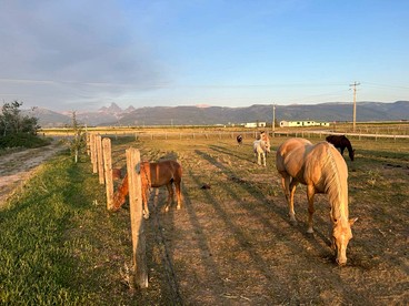 Rustic Sheep Wagon Glamping Retreat with Cowboy Ranch Views near Grand Tetons in Tetonia, Idaho - Tetonia, Idaho - glamping.directory