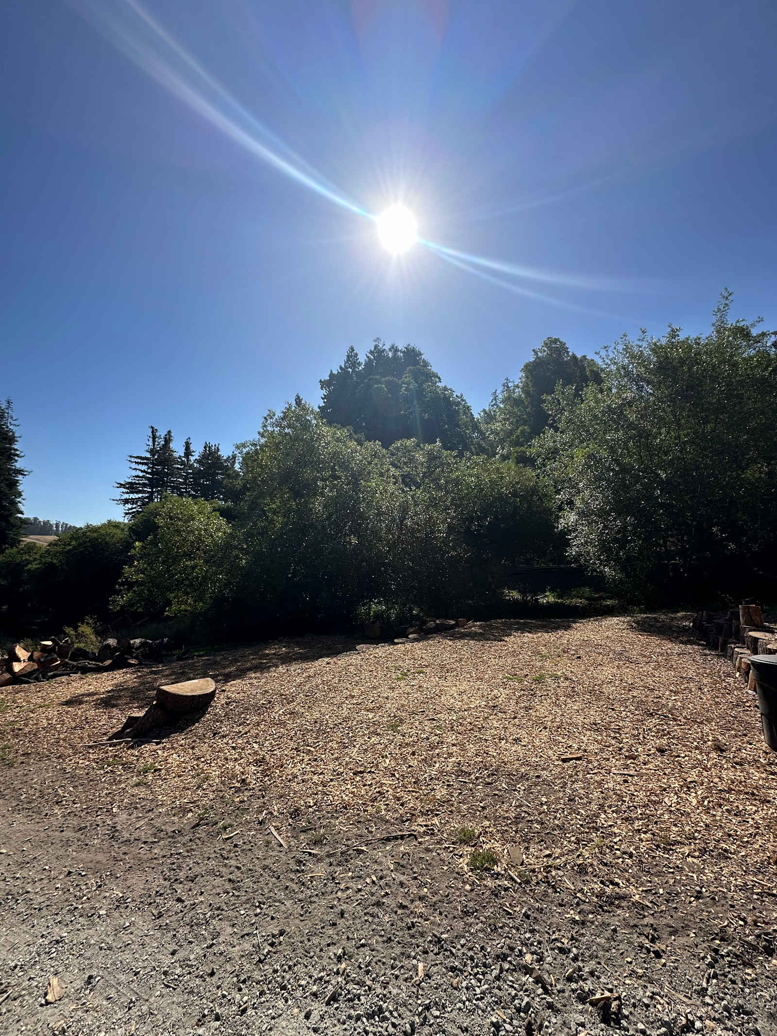 Shiima koh - Aptos Hills Larkin Valley, California - glamping.directory