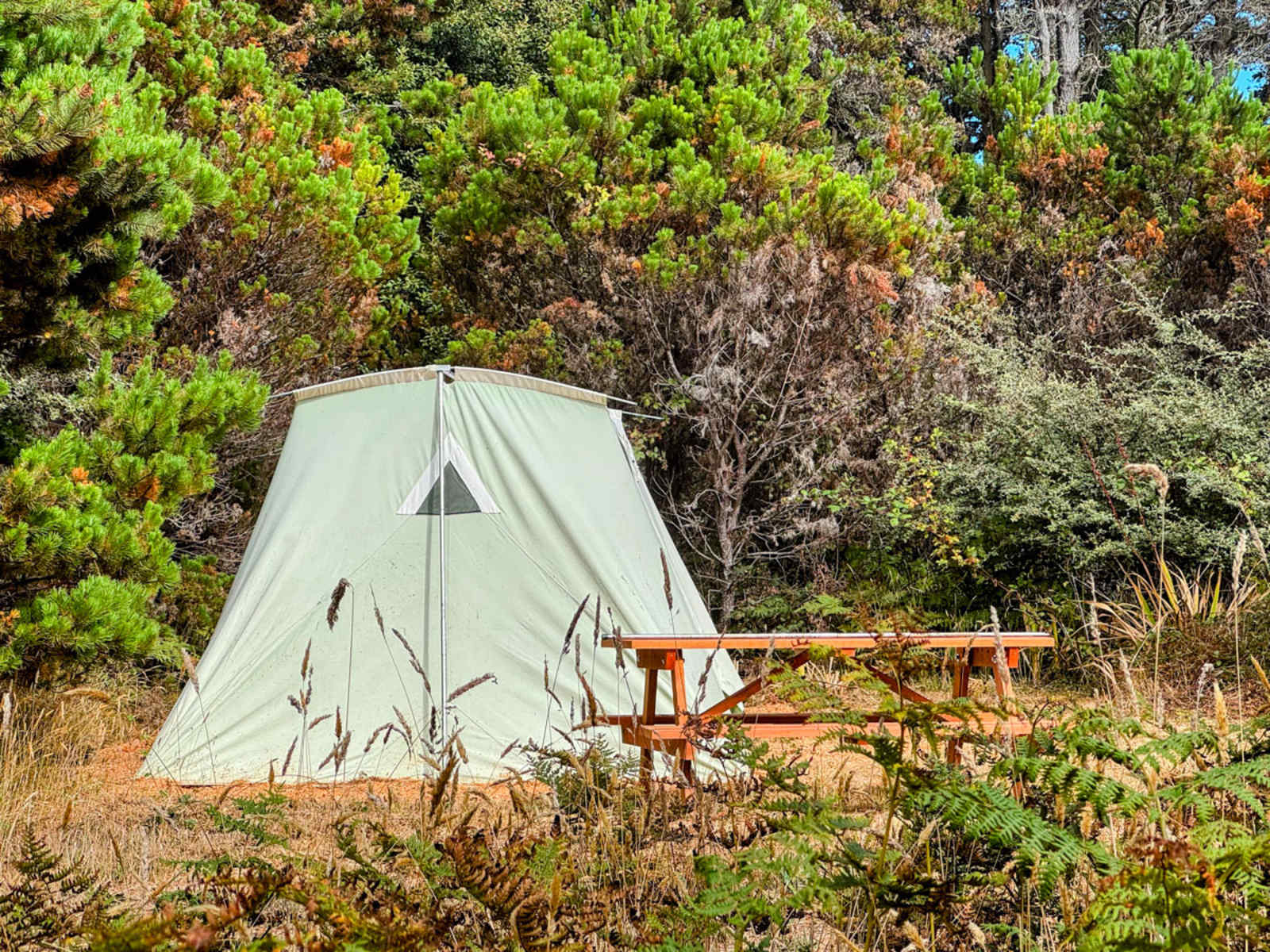 Camp Candy Cap - Coastal Camping - glamping.directory
