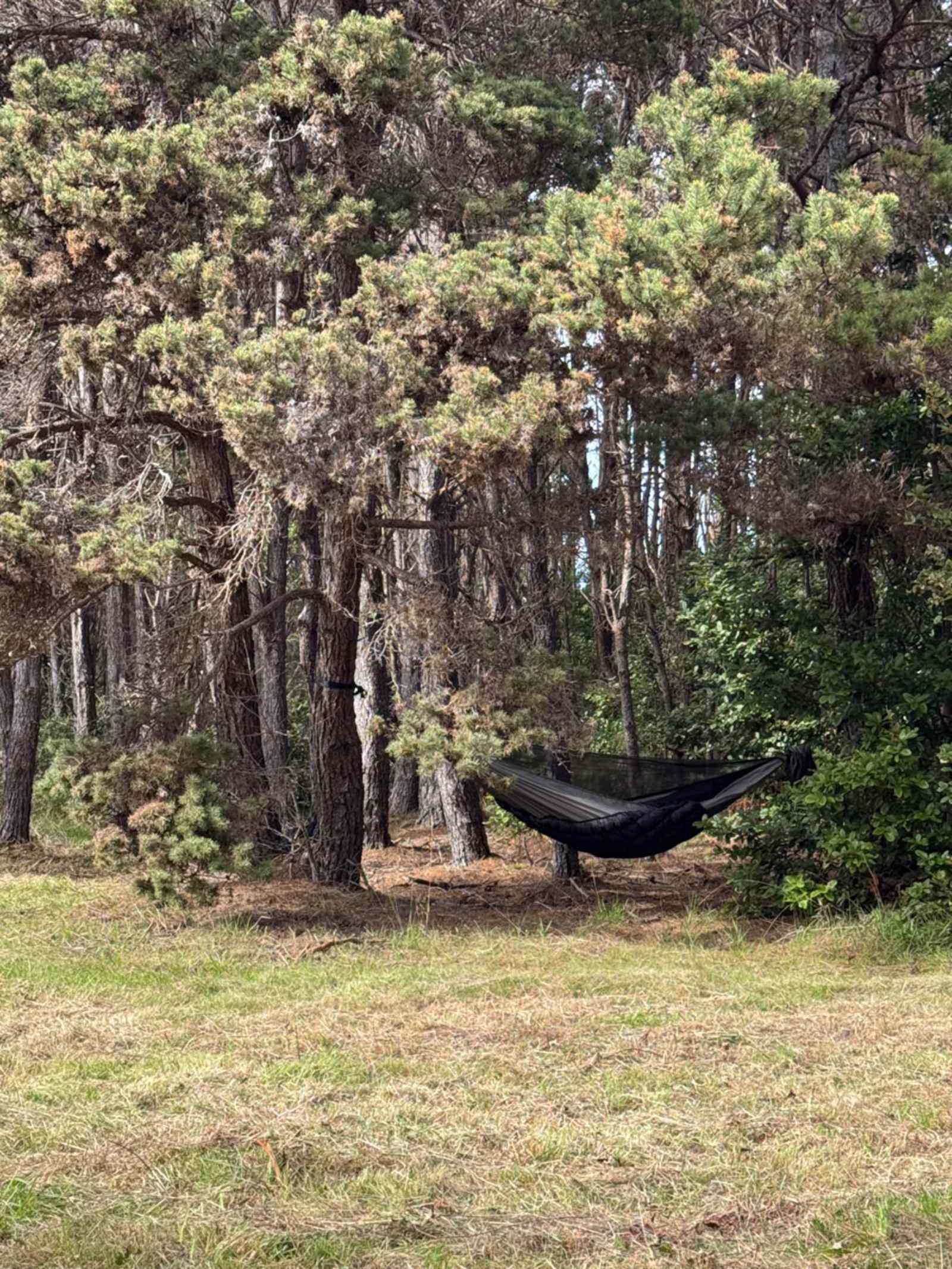 Camp Candy Cap - Coastal Camping - Fort Bragg, California - glamping.directory