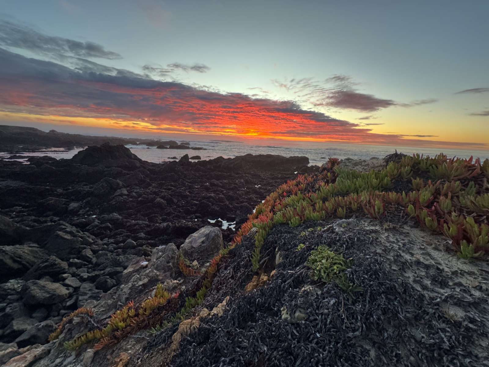 Camp Candy Cap - Coastal Camping - Fort Bragg, California - glamping.directory