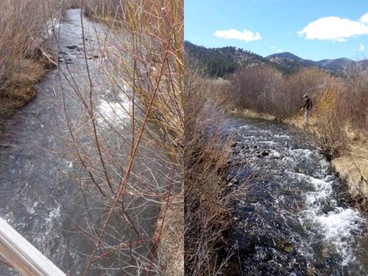 Rustic Cabin Rental near Rio Grande National Forest in Villa Grove, Colorado - Villa Grove, Colorado - glamping.directory