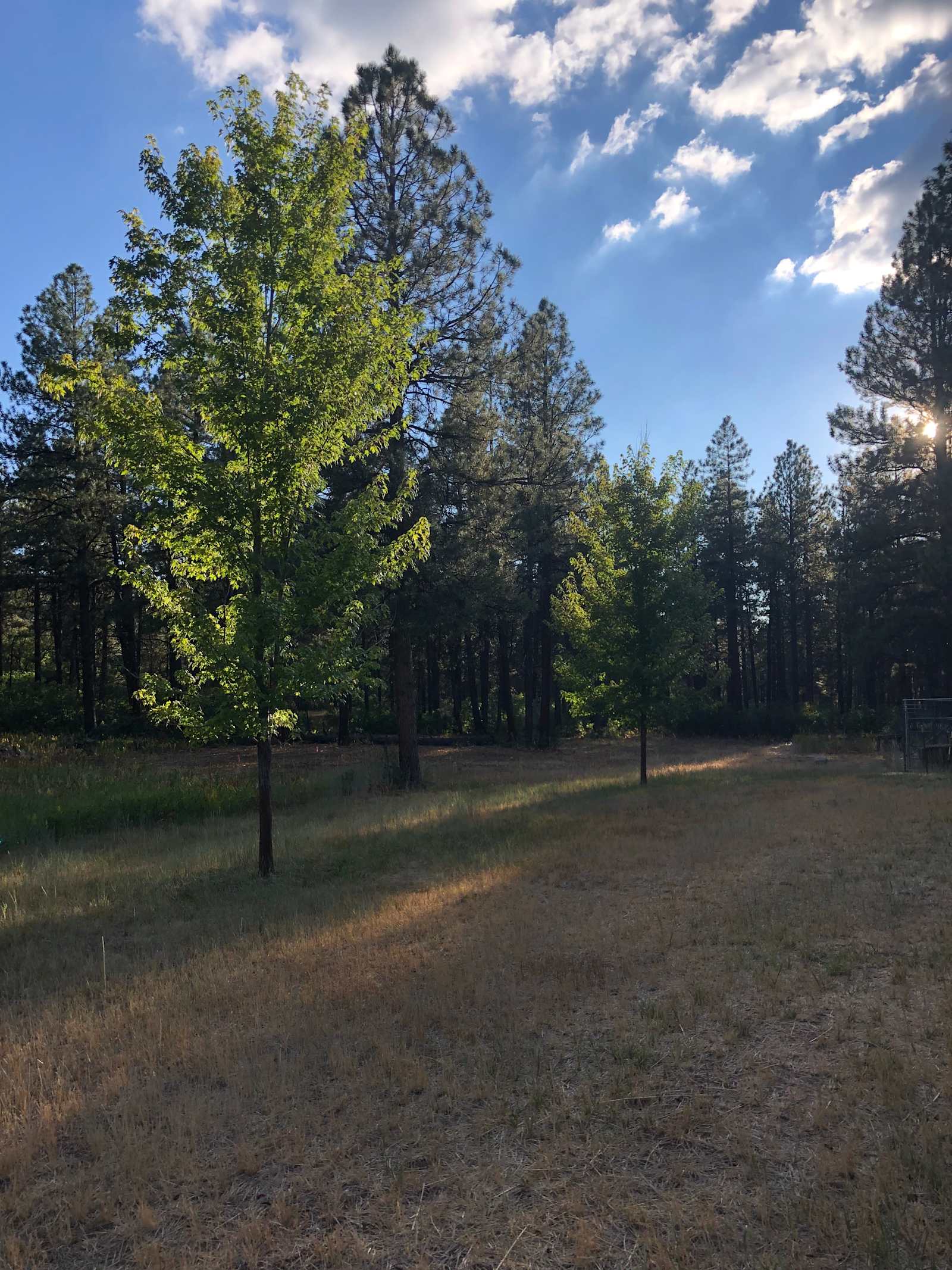 Kirk’s Campground - glamping.directory