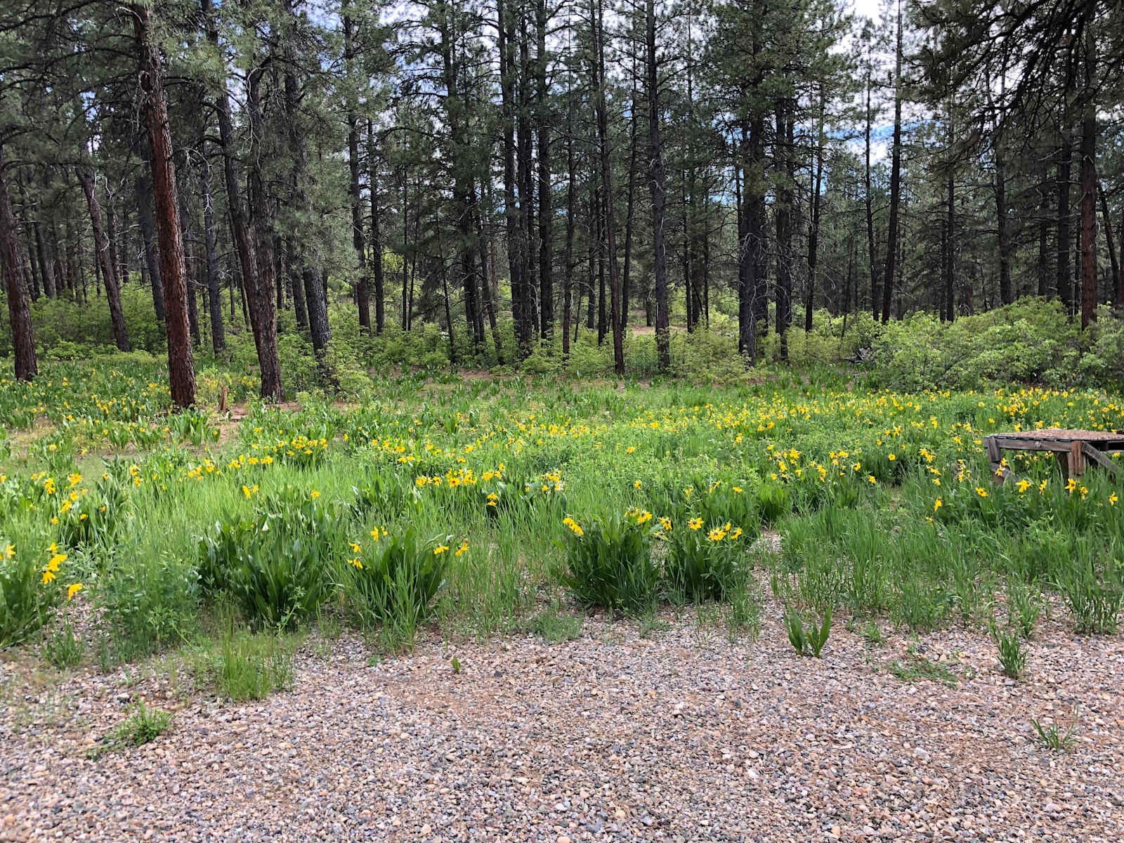 Kirk’s Campground - Bayfield, Colorado - glamping.directory