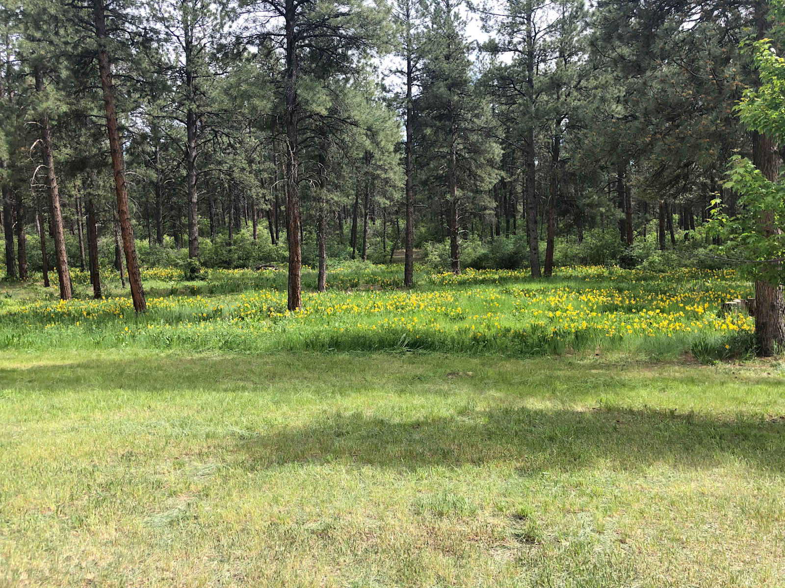 Kirk’s Campground - Bayfield, Colorado - glamping.directory