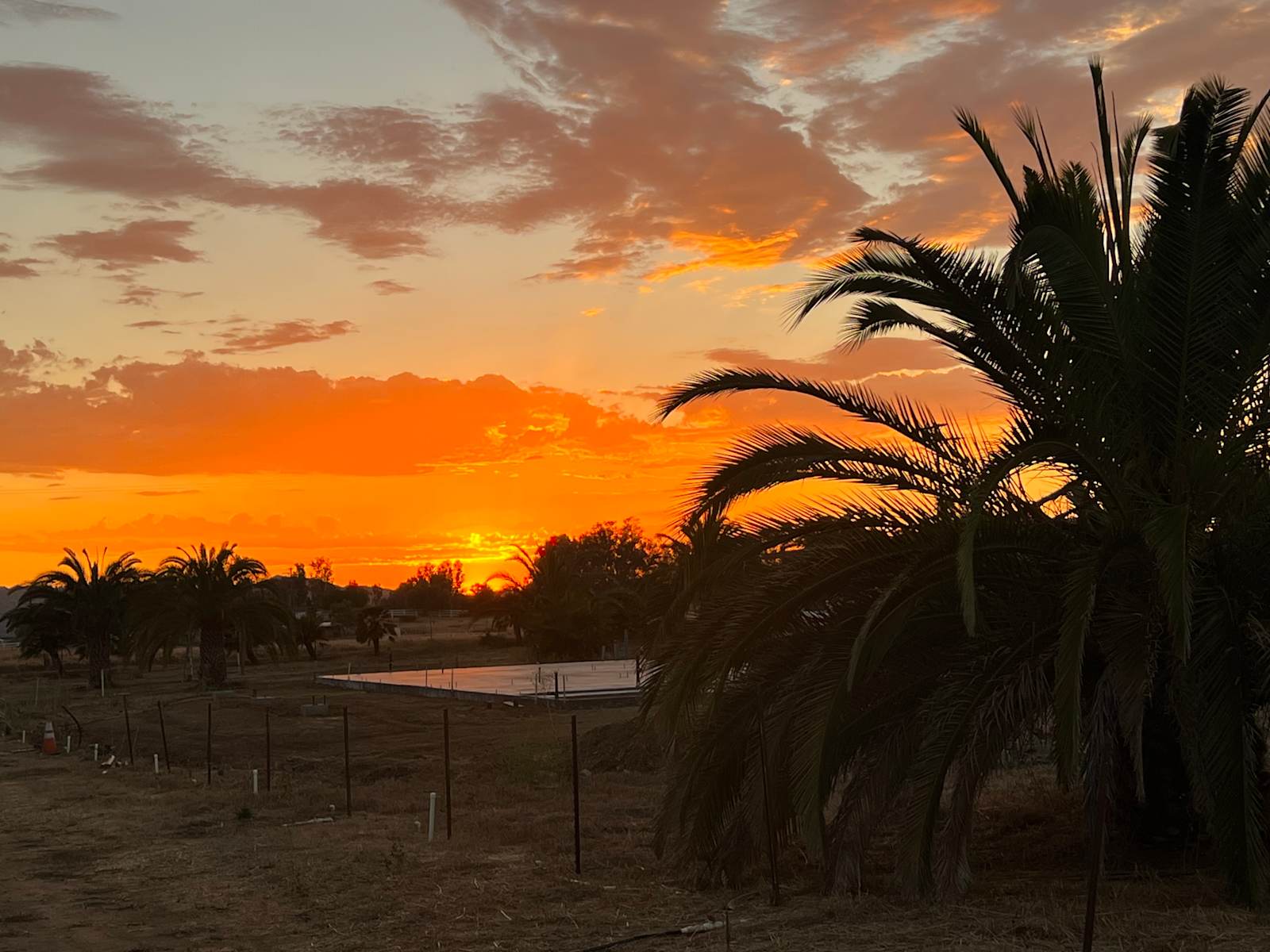 Thompson Palms Campground - glamping.directory