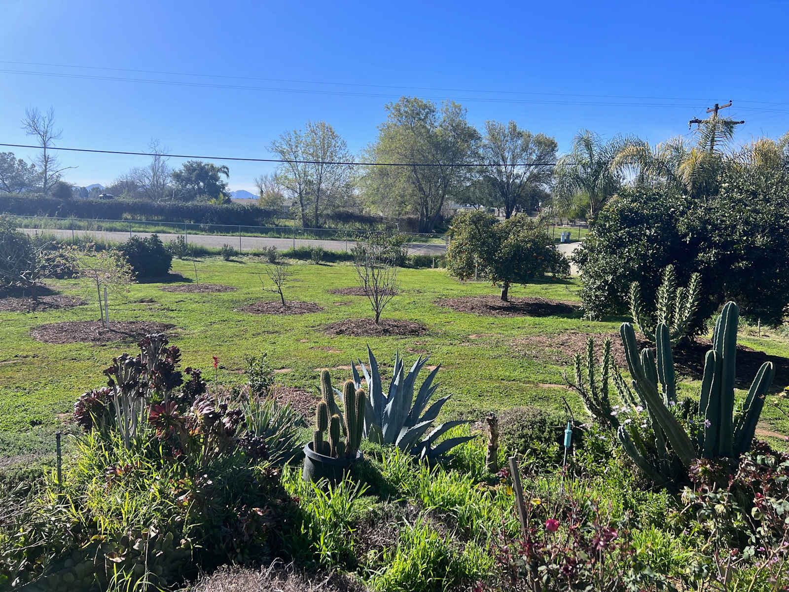 Thompson Palms Campground - Ramona, California - glamping.directory