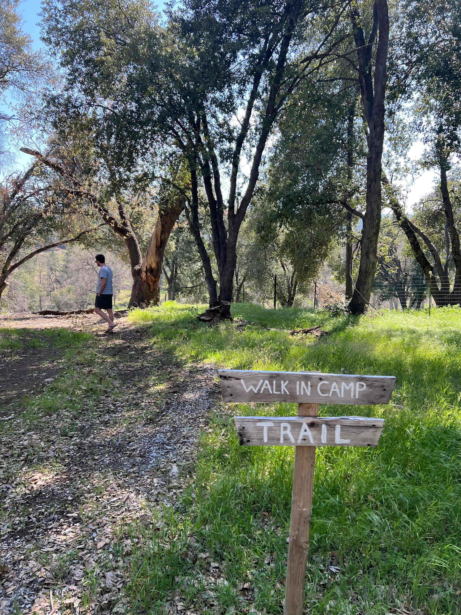 Red Tail Ranch at Yosemite - Groveland, California - glamping.directory