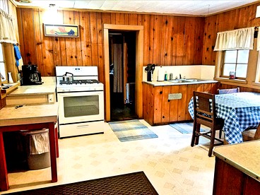 Spacious Family-Friendly Log Cabin with Lake Views near Cadillac, Michigan - Wellston, Michigan - glamping.directory