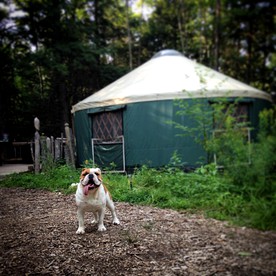 Unique Yurts Nestled on the Runaround Pond near Portland, Maine - Durham, Maine - glamping.directory