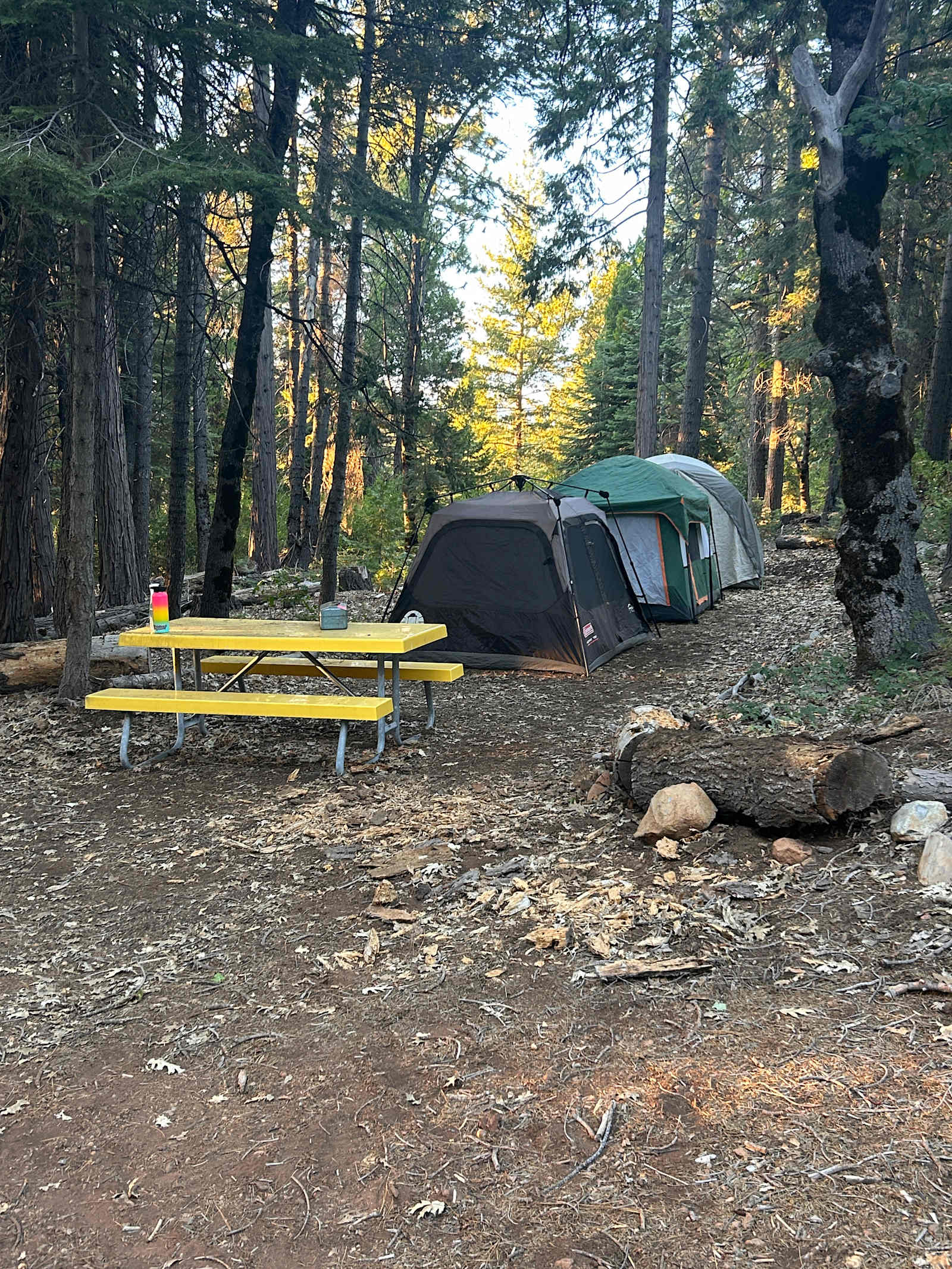 Mystic Ridge - Nevada City, California - glamping.directory