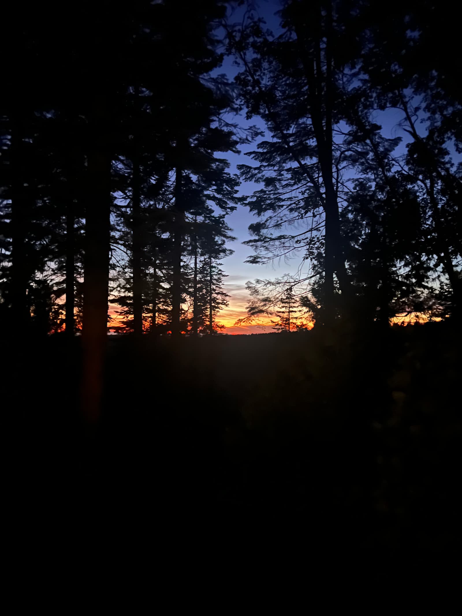 Mystic Ridge - glamping.directory