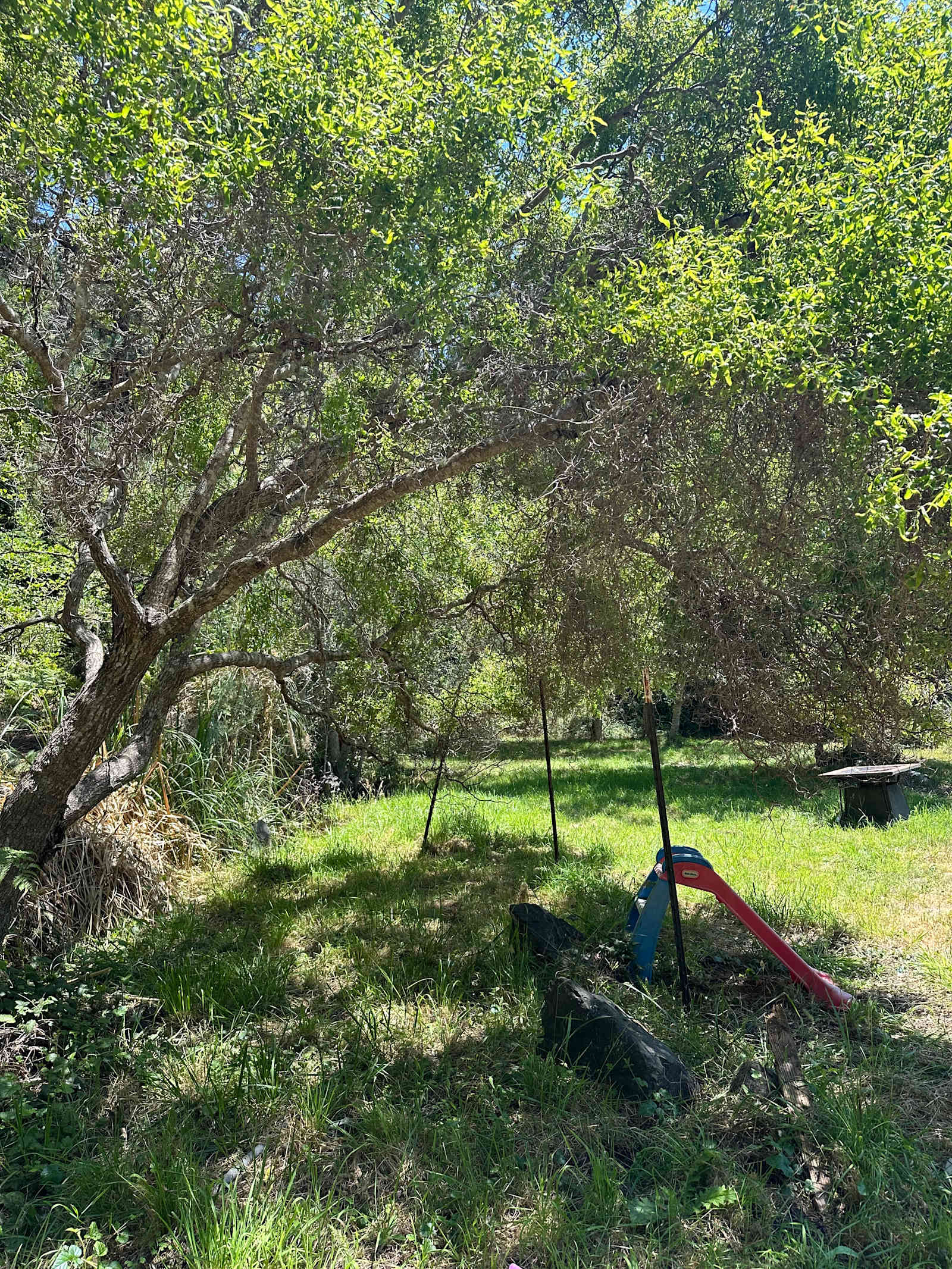 Bigfoot’s Coastal Hideaway - Fort Bragg, California - glamping.directory
