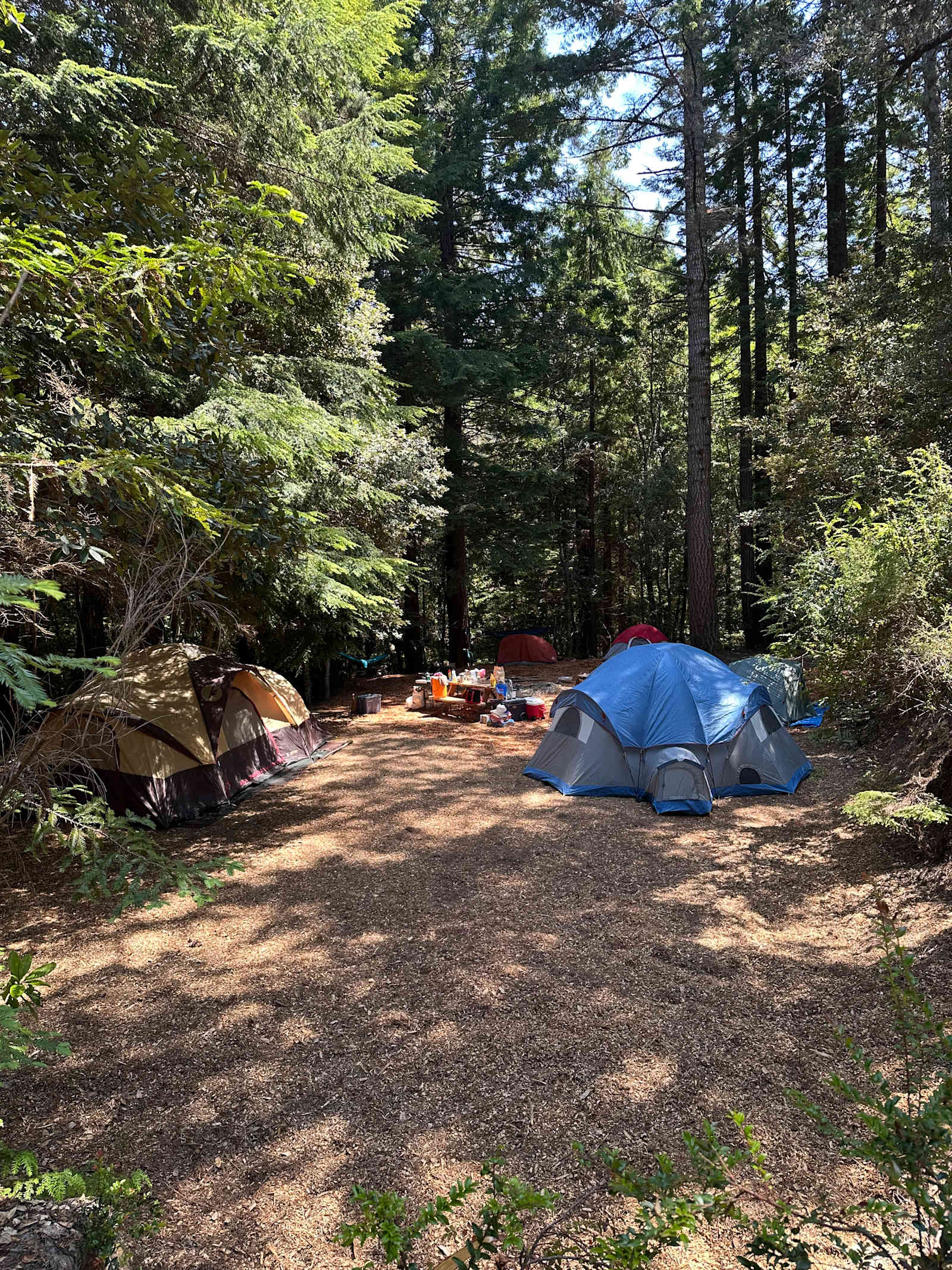 Bigfoot’s Coastal Hideaway - glamping.directory
