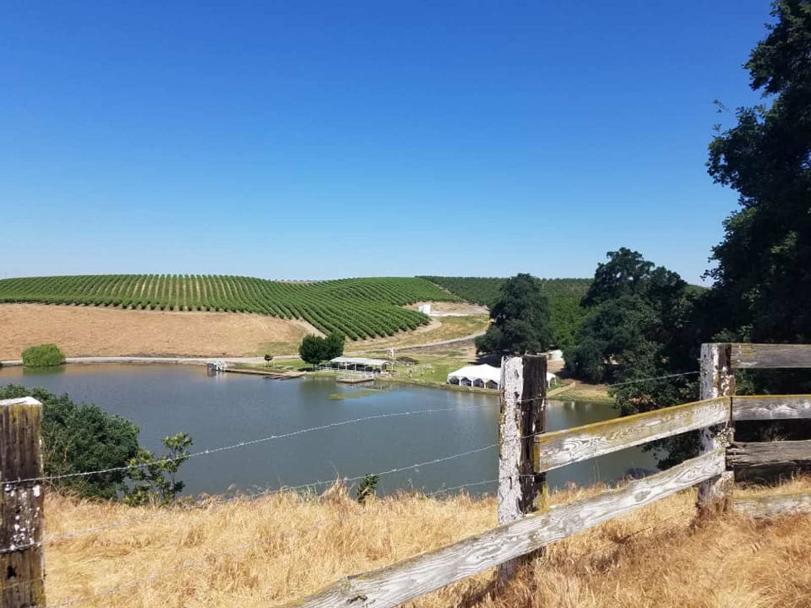 Leards L-3 Ranch - Oakdale, California - glamping.directory