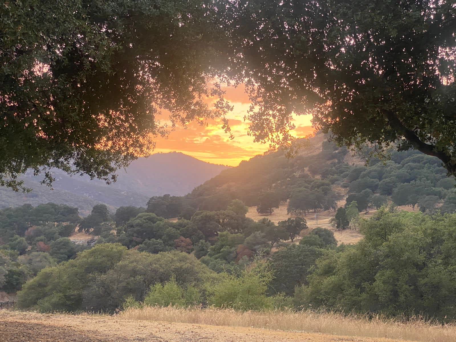 Sequoia Secluded Escape - glamping.directory