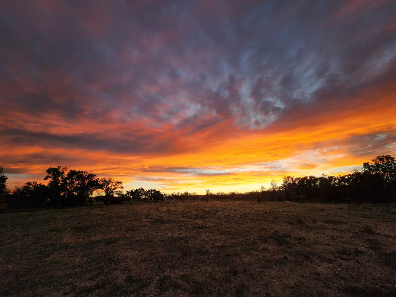 K's Camping - Penrose, Colorado - glamping.directory
