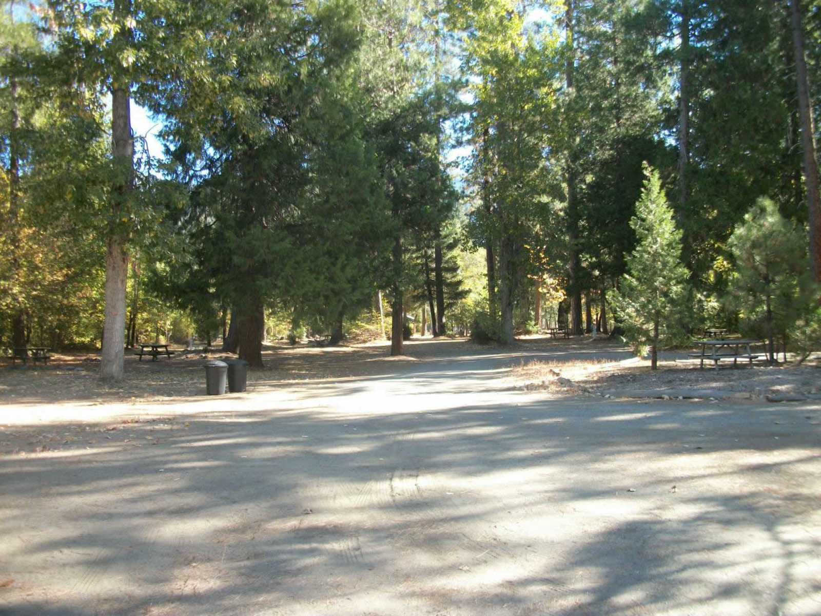 Coffee Creek Campground - Coffee Creek, California - glamping.directory