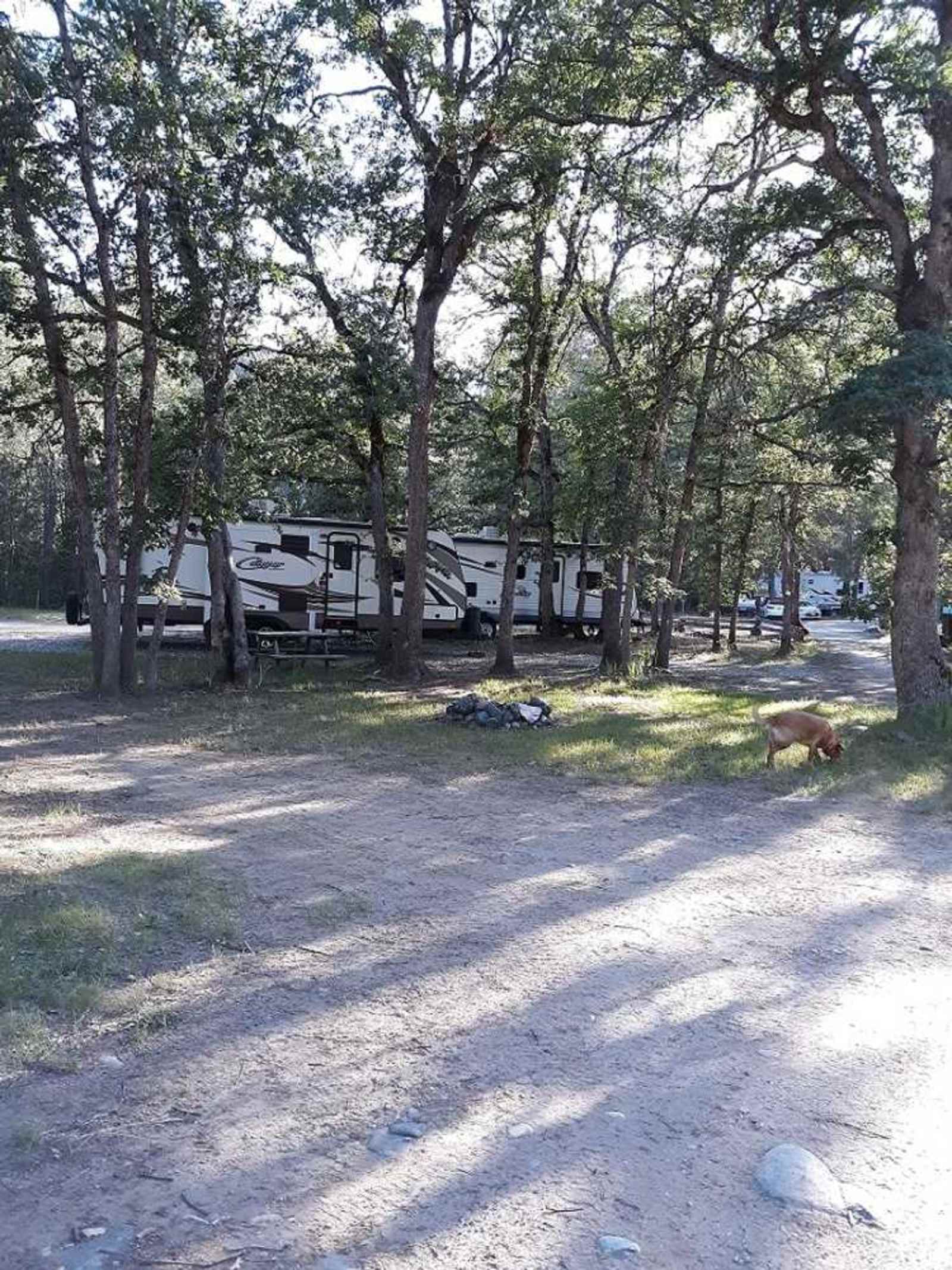 Coffee Creek Campground - Coffee Creek, California - glamping.directory