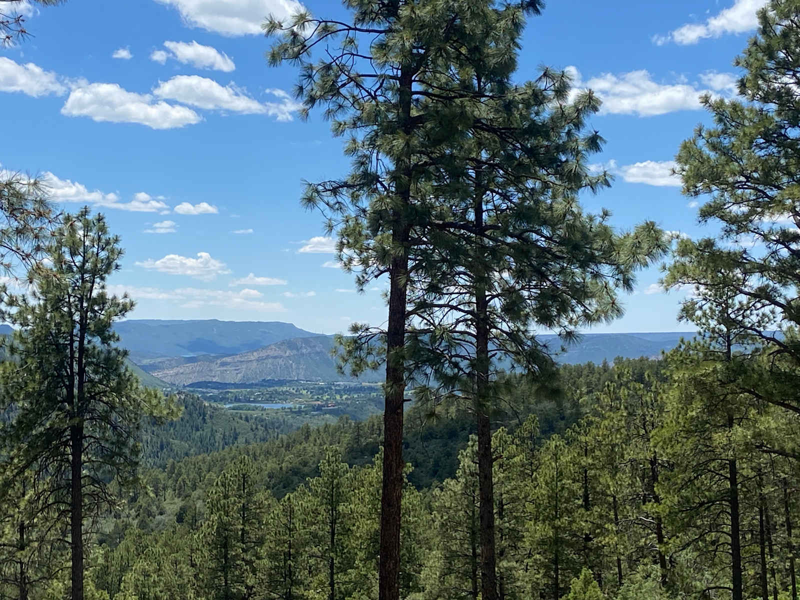 Bear springs - Durango, Colorado - glamping.directory