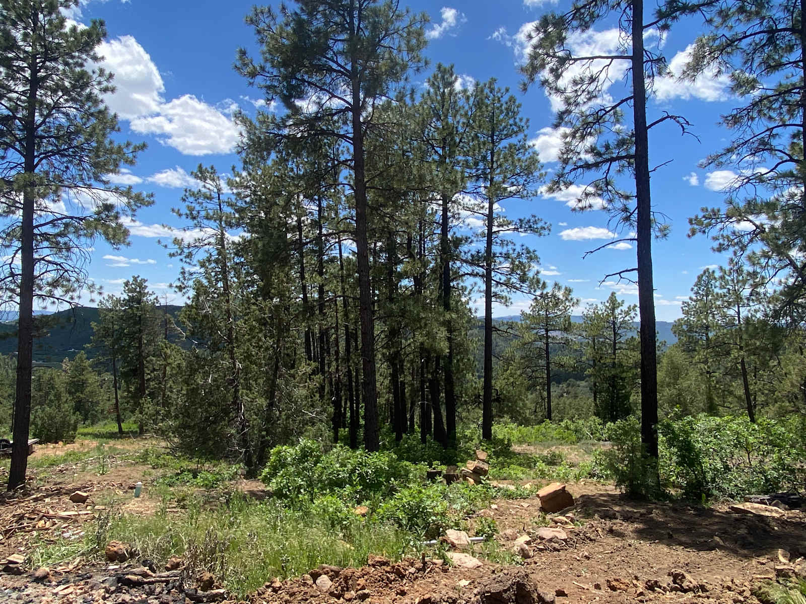 Bear springs - Durango, Colorado - glamping.directory
