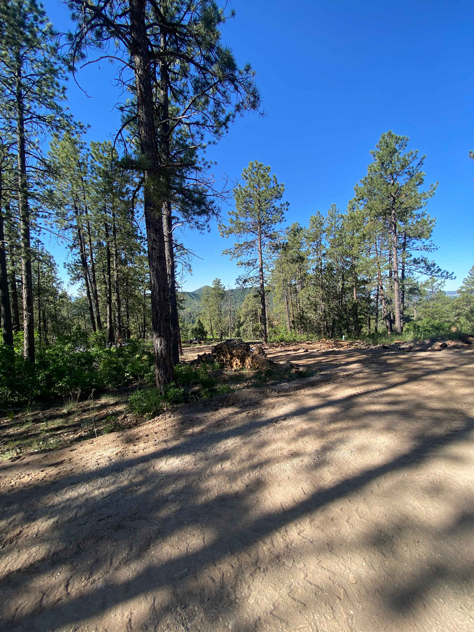 Bear springs - Durango, Colorado - glamping.directory