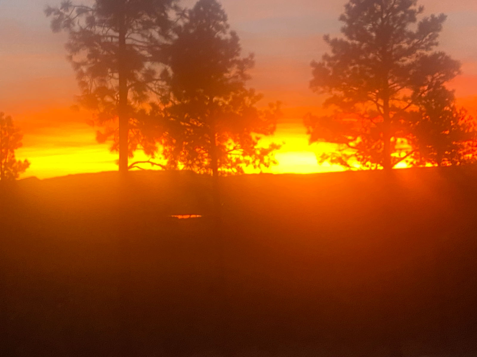 Bear springs - Durango, Colorado - glamping.directory