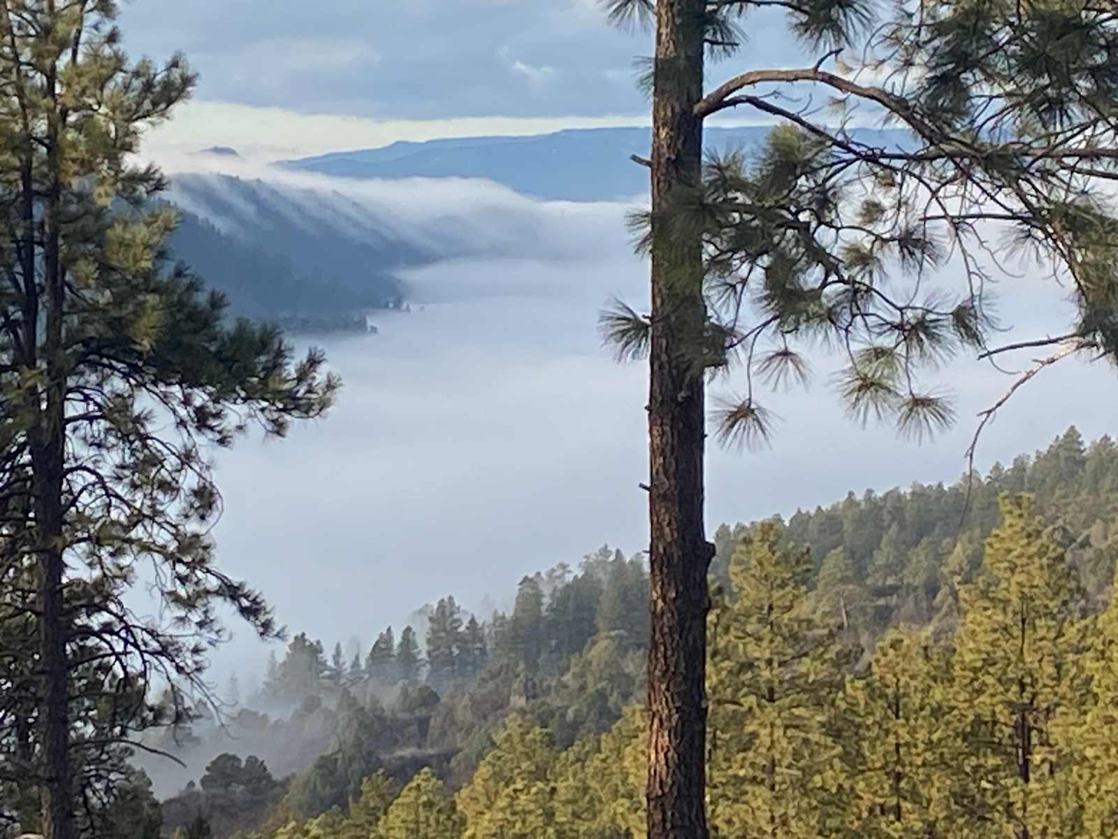 Bear springs - glamping.directory