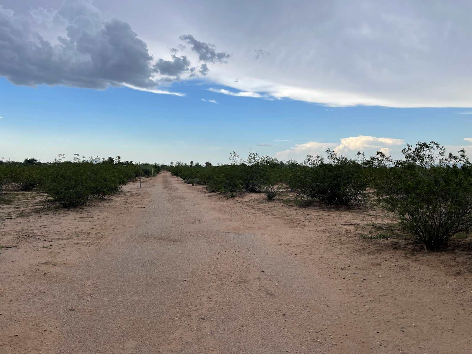 Desert Getaway in Avra Valley - Avra Valley, Arizona - glamping.directory