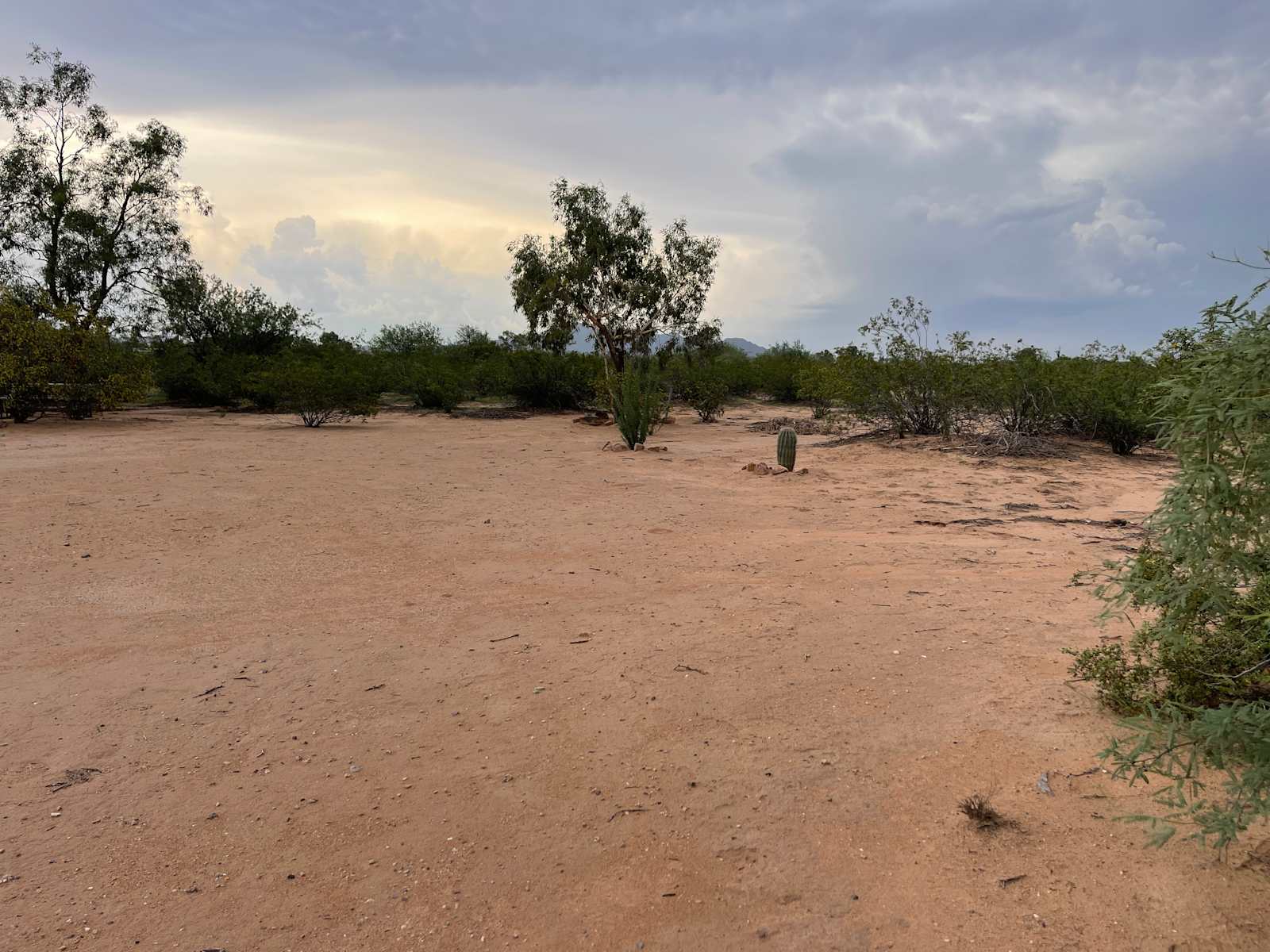 Desert Getaway in Avra Valley - Avra Valley, Arizona - glamping.directory