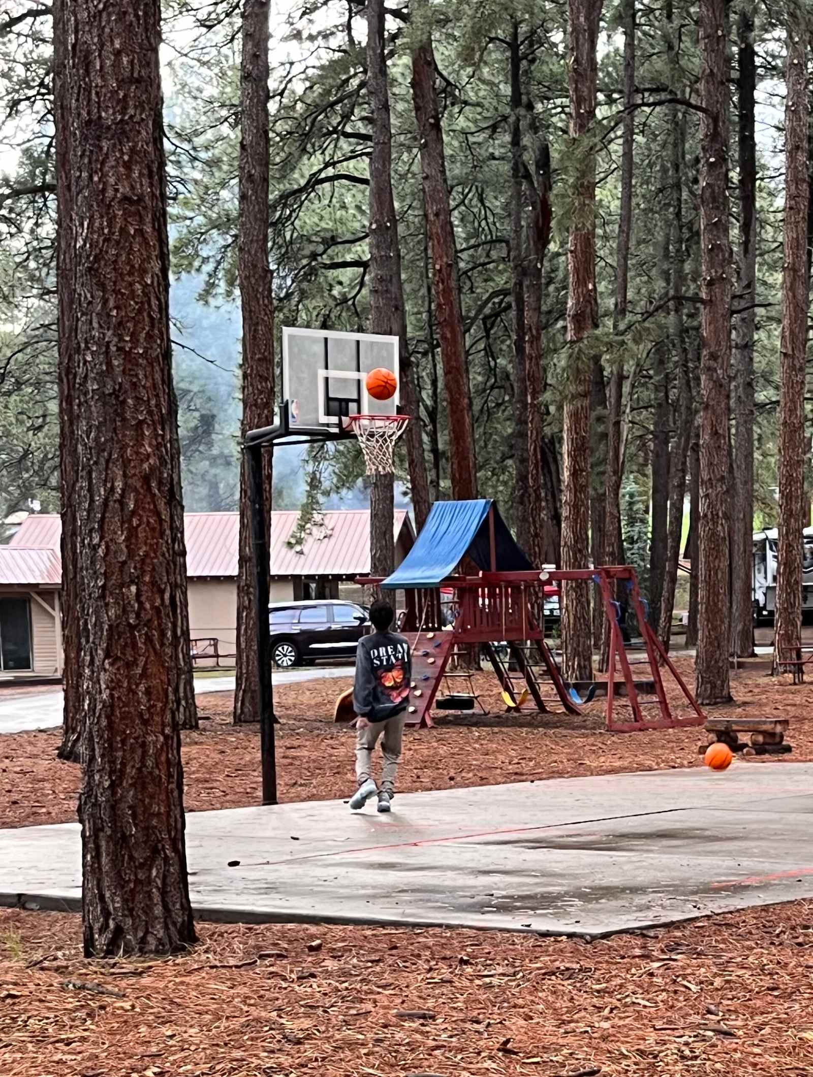 Junction West Vallecito - Bayfield, Colorado - glamping.directory