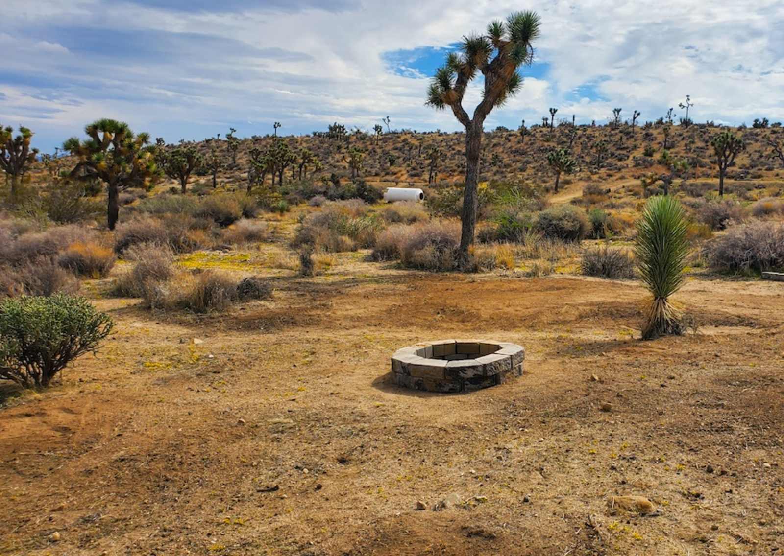 The Valley - 15 min to Joshua Park - Yucca Valley, California - glamping.directory