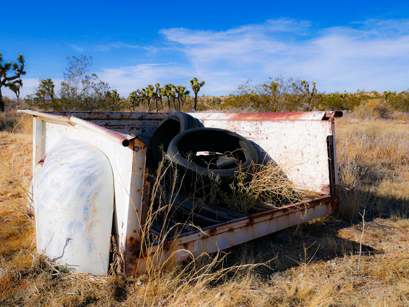 The Valley - 15 min to Joshua Park - Yucca Valley, California - glamping.directory