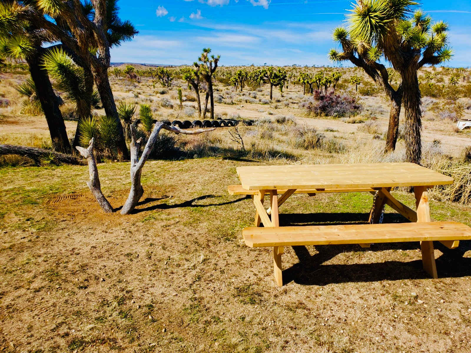 The Valley - 15 min to Joshua Park - Yucca Valley, California - glamping.directory