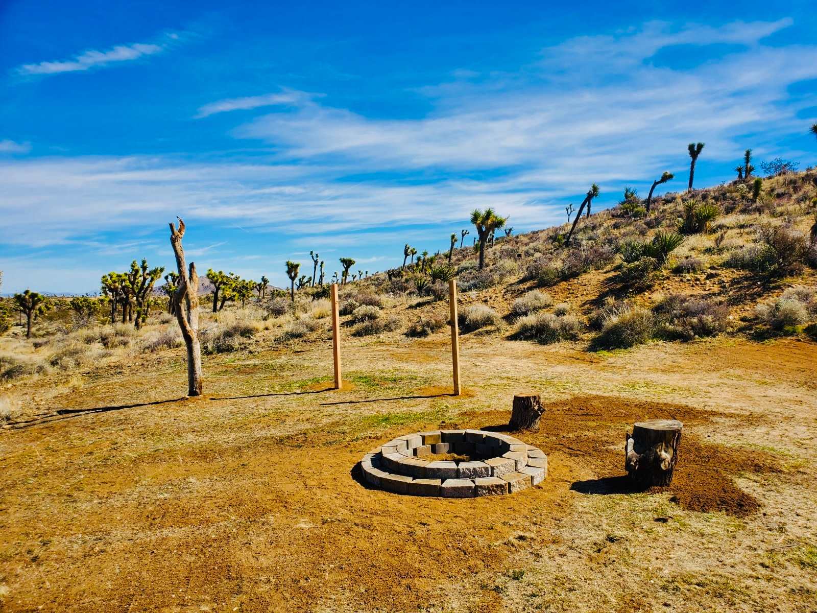 The Valley - 15 min to Joshua Park - Yucca Valley, California - glamping.directory