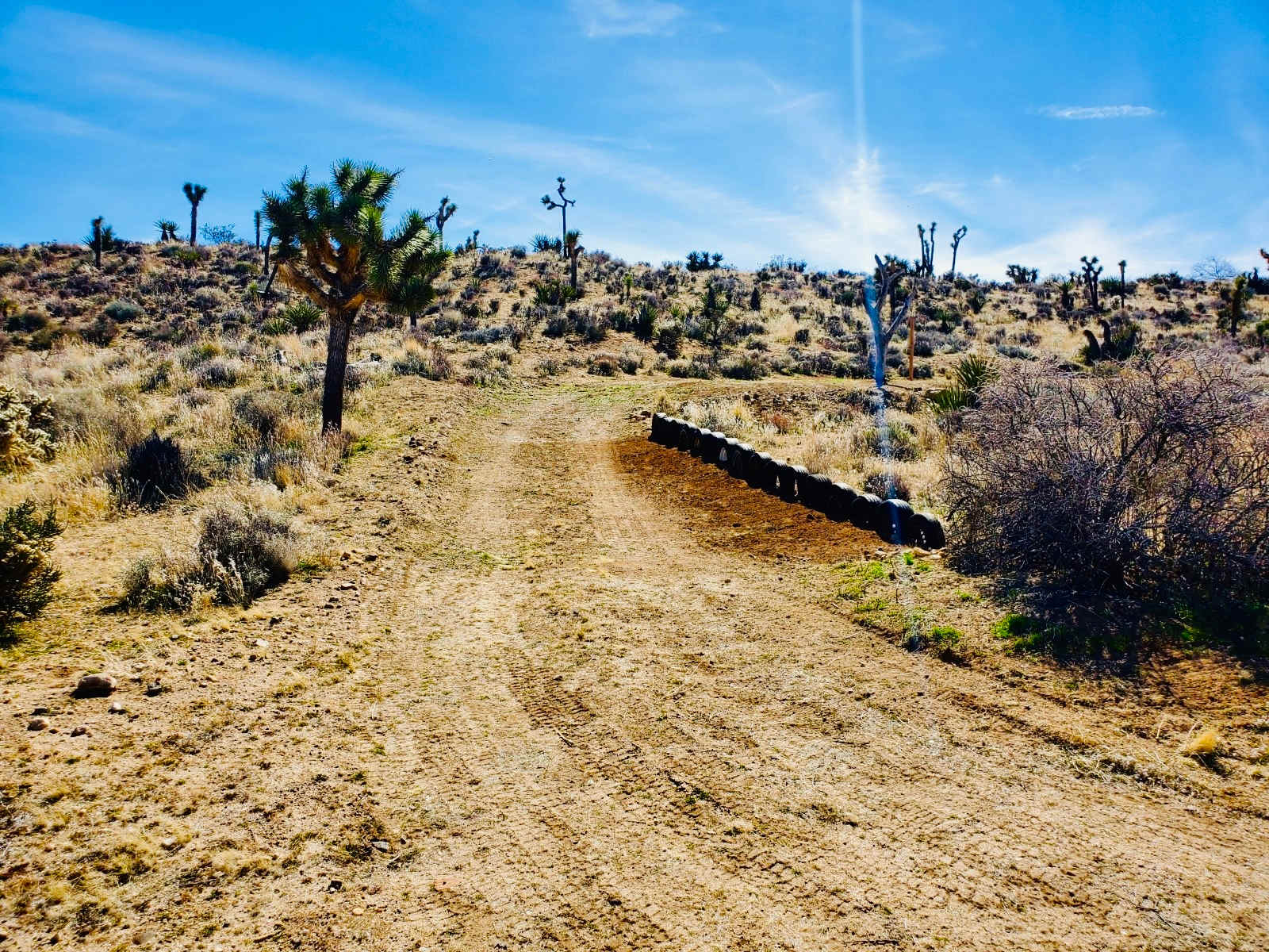 The Valley - 15 min to Joshua Park - Yucca Valley, California - glamping.directory
