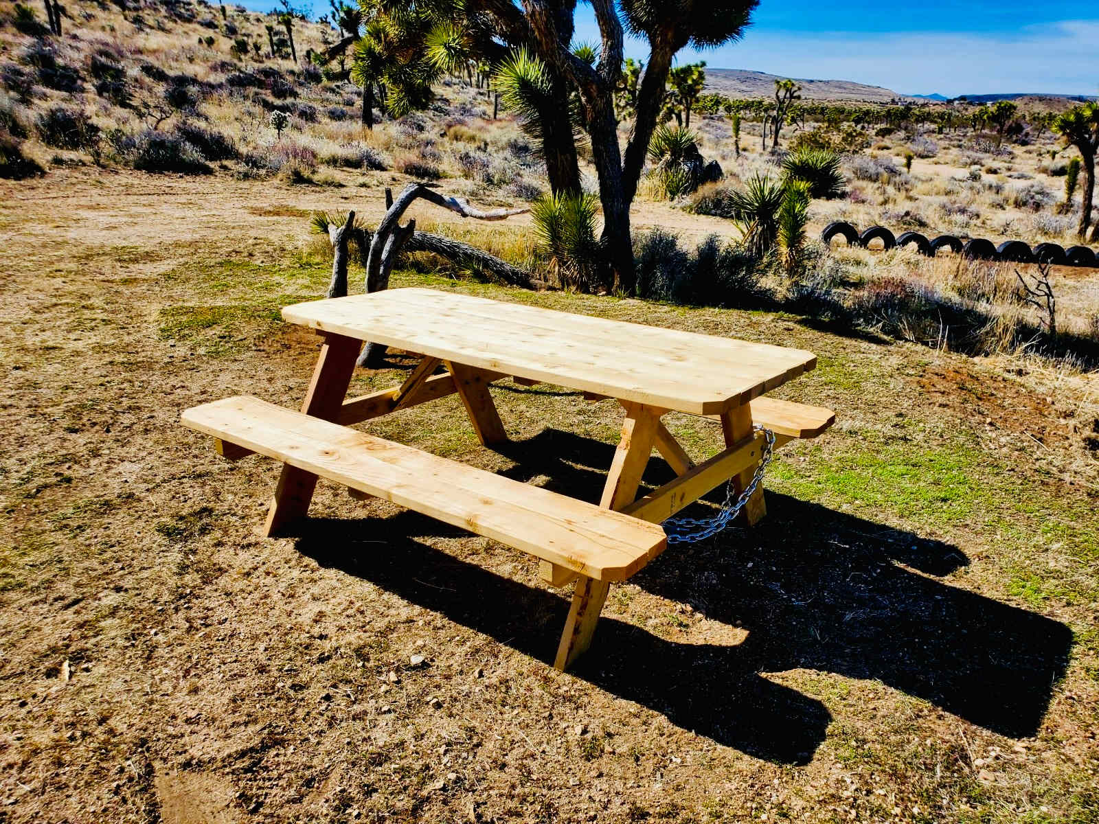 The Valley - 15 min to Joshua Park - Yucca Valley, California - glamping.directory